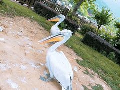 -无锡动物园·太湖欢乐园