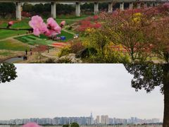-秀丽东方