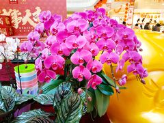 -沈阳商业城(中街路店)