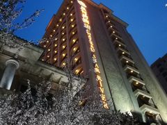 -上海浦东星河湾酒店