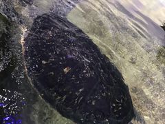 -鸿通城购物中心