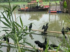 -长兴太湖图影湿地文化园