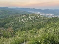 -长虫山生态公园风景林