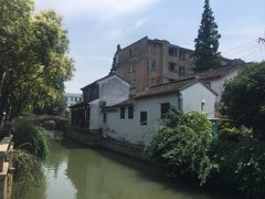 -苏妃奶酪(平江路店)