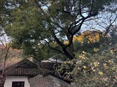 -西园戒幢律寺