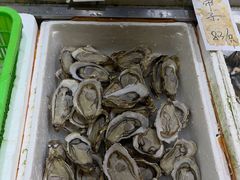 -新享乐海鲜(翠华路店)