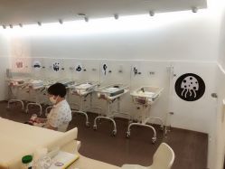 -海豚湾高端月子会所(黄浦店)