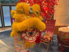 -上海浦东康桥绿地假日酒店