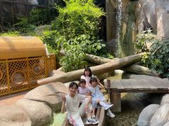 -杭州开元森泊度假乐园