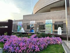 -上海博物馆(人民广场馆)