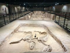 -洛阳周王城天子驾六博物馆