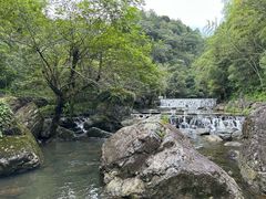 -石台牯牛降景区