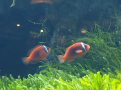 -太平洋海底世界