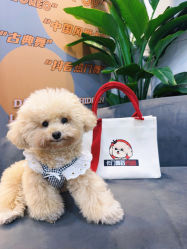 -卡门舞蹈