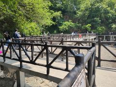 -汤山公园