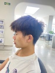 -蚂蚁造型沙龙
