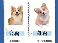 -唐小姐の猫狗洗护·购宠旗舰店(周浦万达店)