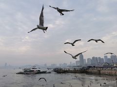 -星海广场