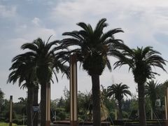 -国际非物质文化遗产博览园