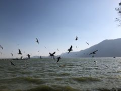 -滇池海埂公园