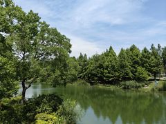 -桃花岛公园