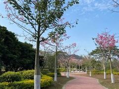 -艾米稻香小镇