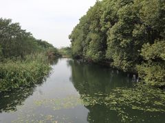 -同里国家湿地公园