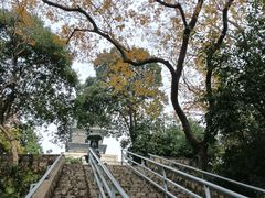 -九华山公园