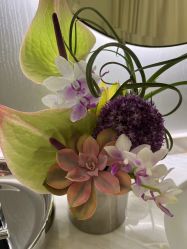 -明潪Selfology升维护理中心