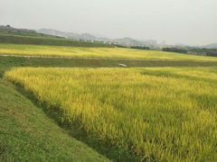 -光明小镇欢乐田园