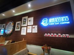 -藏猫猫咖啡主题馆(中央大道店)