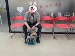 -艾贝尔宠物诊疗