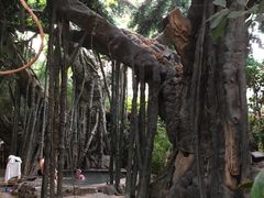 -龙达温泉生态城