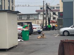-上海新发展亚太JW万豪酒店