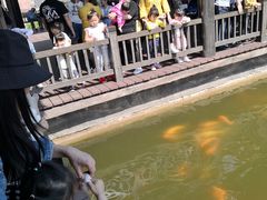 -枫香湖儿童公园