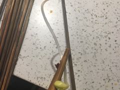 -正宗钢管厂五区·小郡肝火锅·串串香(商品街总店)