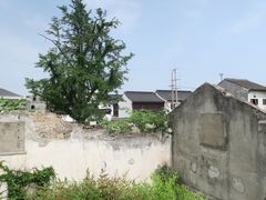 -五峰园