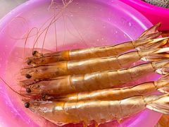 -蚝乡农庄(铁涌赤岸店)