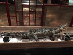 iphone_upload_pic-南京汤山紫清湖生态旅游温泉度假区