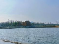 -春花秋色城市公园