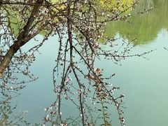 -苏州太湖国家湿地公园