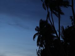 -The Sunny Side Cafe Station 1