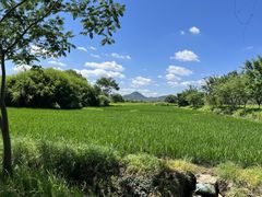 -良渚古城遗址公园