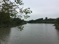 -梁鸿国家湿地公园