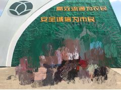 -上海都市菜园