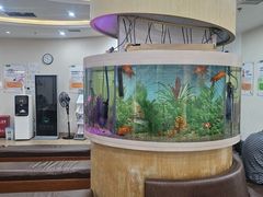 -慈铭体检(洋桥分院)