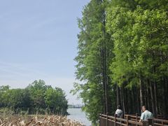 -东湖落雁景区