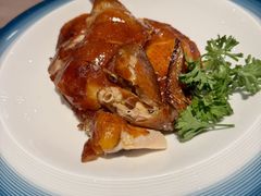 -海口万豪中餐厅·粤菜·海南菜· 平价海鲜·茶点· KTV包房