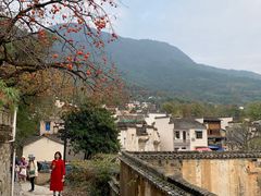 -塔川景区