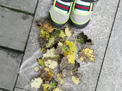 -丰台花园
